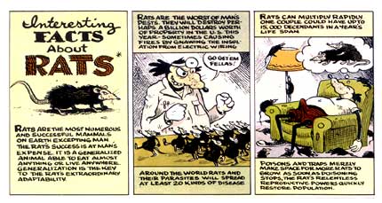 Mickey Rat, by Robert Armstrong
