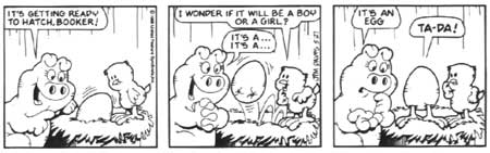 Jim  Davis (II)