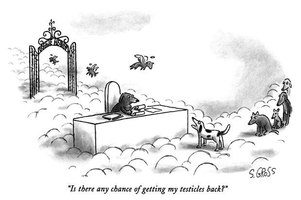 cartoon by Sam Gross