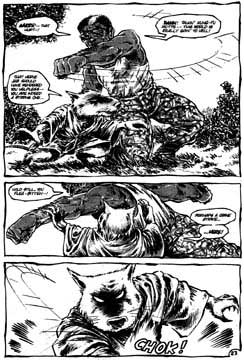 TMNT, by Peter Laird