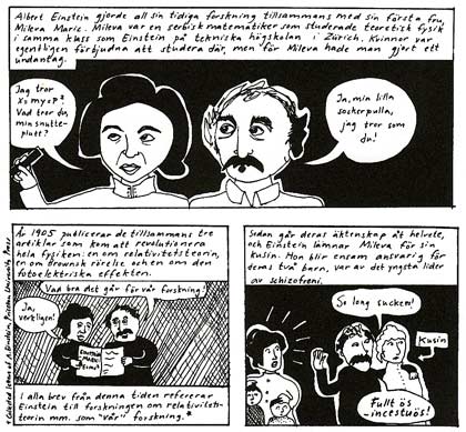 Einsteins Fru by Liv Stromquist