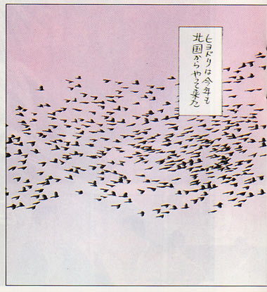 Seizo  Watase