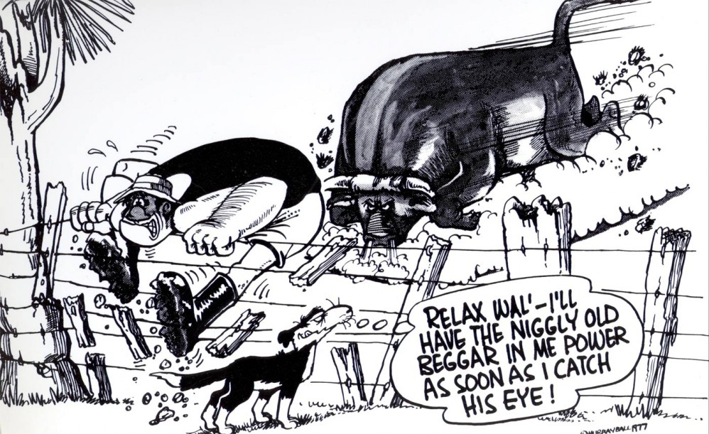 Murray  Ball