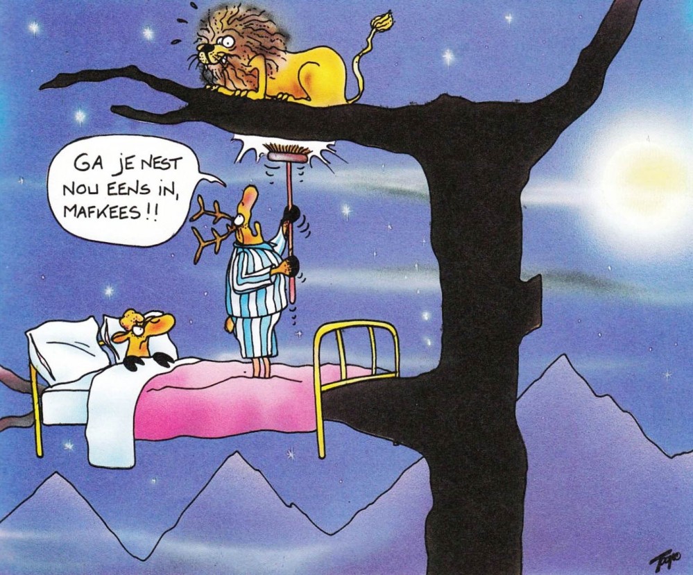 Toon van  Driel
