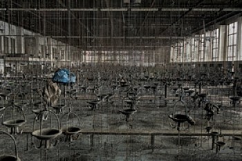 Beauty in Decay II