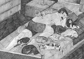 El Gato Especial