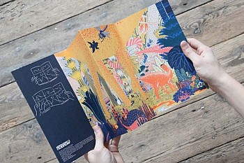 Rise and Fall second edition