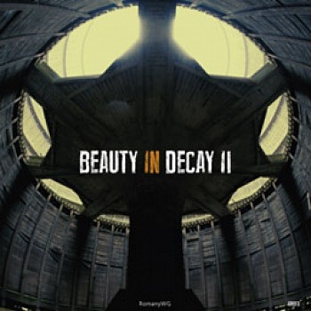 Beauty in Decay II