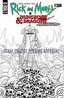 Dungeons & Dragons: The Meeseeks Adventure