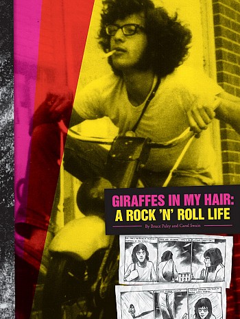 Giraffes in my hair - A rock 'n' roll life
