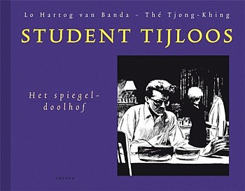 Het Spiegel-doolhof